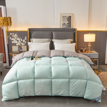 Hotel Winter Comporter Premium ทุกฤดูกาล