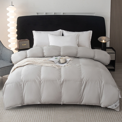 Winter Winter Comforter hypoallergenic ลง